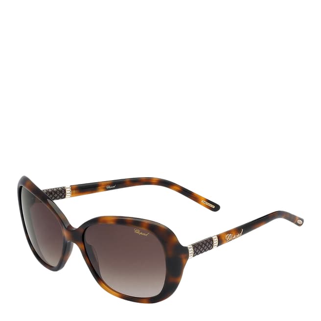 Chopard Women's Shiny Brown Havana Sunglasses