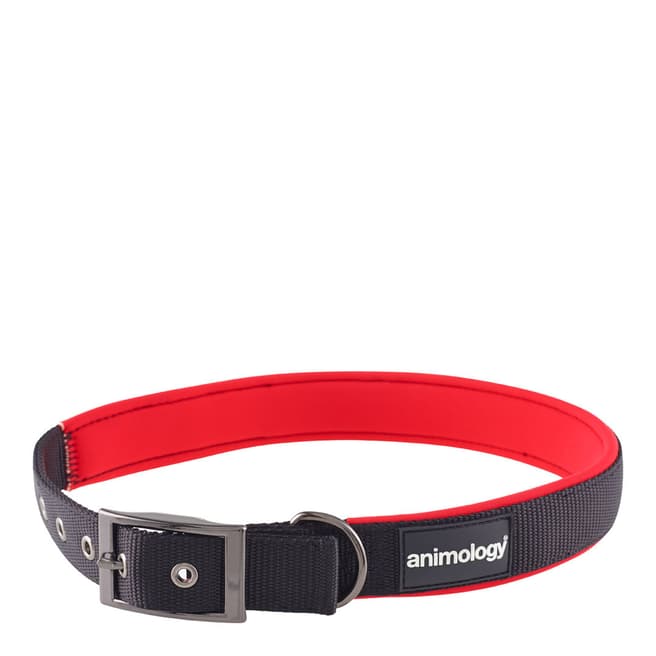 Animology Red, Small Padded Buckled Collar