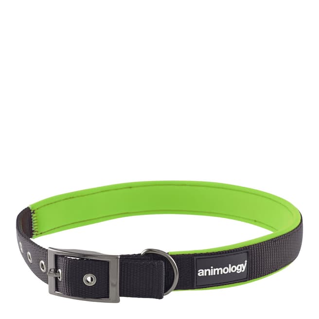 Animology Green, Small Padded Buckled Collar