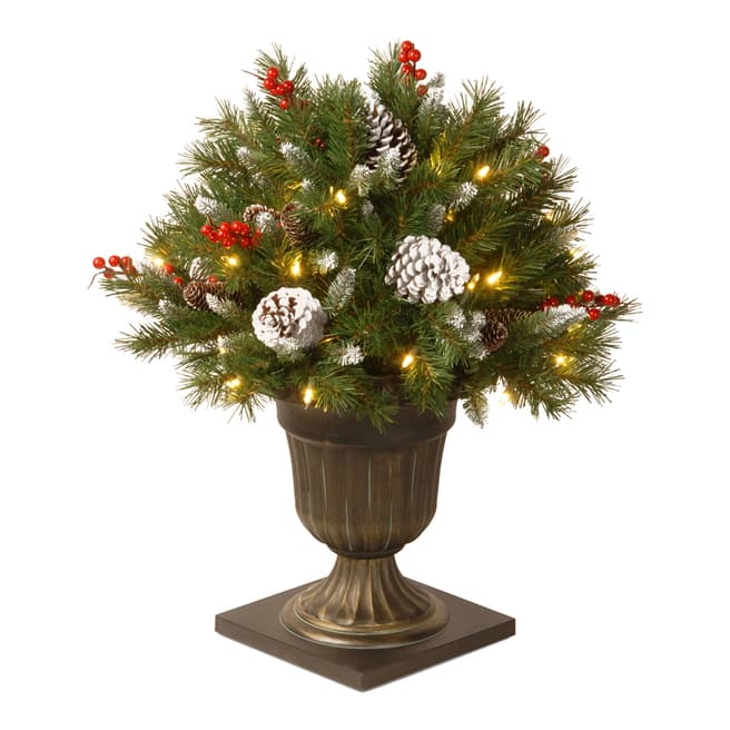 The National Tree Company Frosted Berry Porch Bush with 50 S/W LED Lights