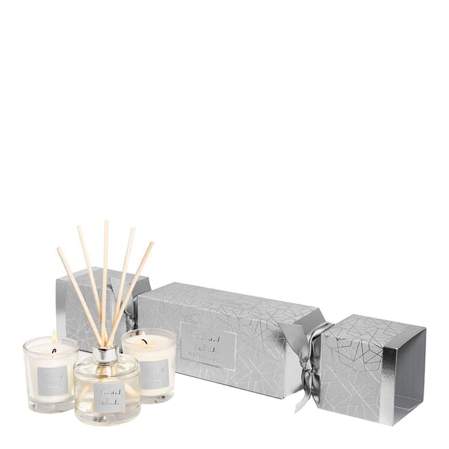 Stoneglow Candles Seasonal Collection Frosted Woods Cracker Gift Set