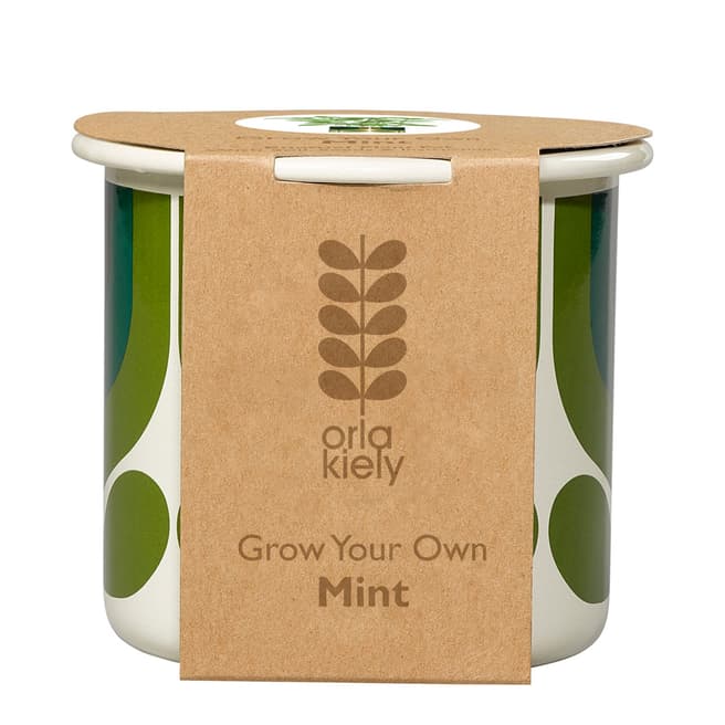 Orla Kiely Grow Your Own Striped Tulip Jade Mint