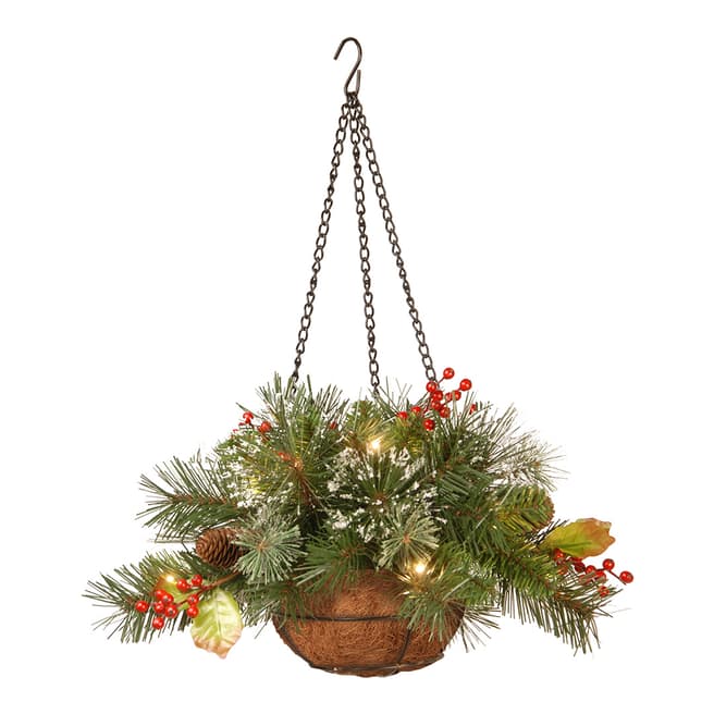 The National Tree Company Green/Gold/Red Wintry Pine Hanging Basket 36cm with 15 Soft White LED Battery