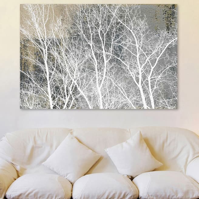 Parvez Taj Frosty White Branches Print on Printed Canvas 61x41cm