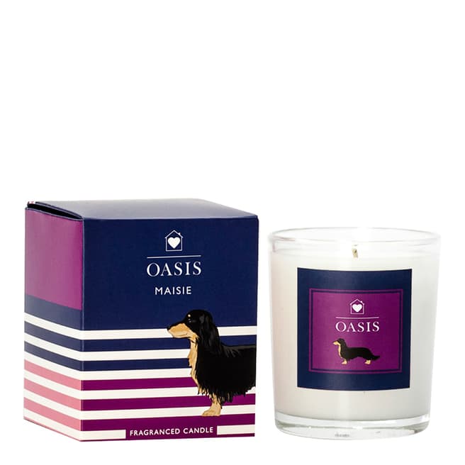 Oasis Ginger & Caramel Masie Glass Candle