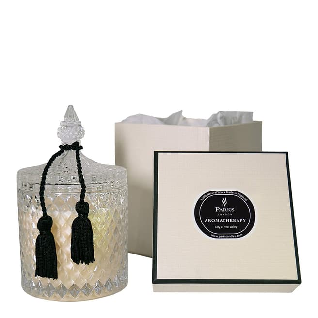 Parks London Lily of the Valley Crystalene 2 Wick Candle