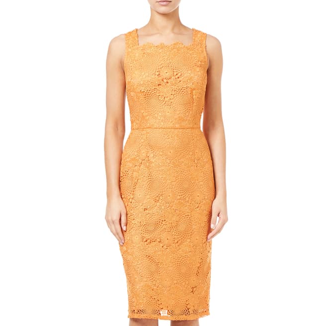 Adrianna Papell Hibiscus Orange Crotchet Lace Sheath Dress
