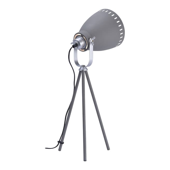 Paul Neuhaus Grey Eva Table Lamp 66x22x27cm