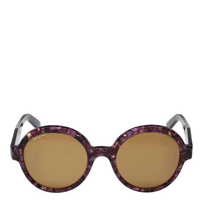 Ferragamo Women's Purple Brown Salvatore Ferragamo Sunglasses 55mm