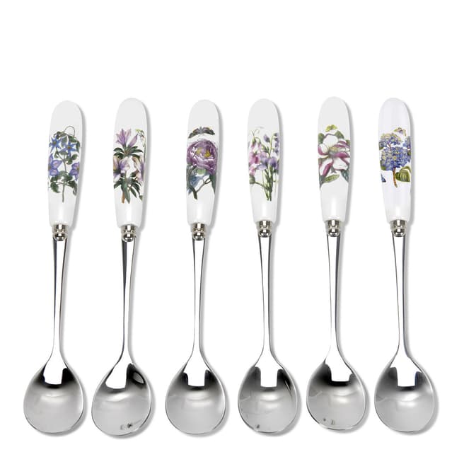 Portmeirion Set of 6 Botanic Garden Tea Spoons