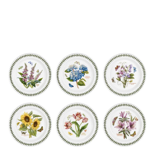 Portmeirion Set of 6 Botanic Garden Plates