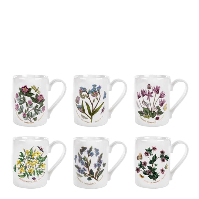 Portmeirion Set of 6 Botanic Garden Coffee Mugs