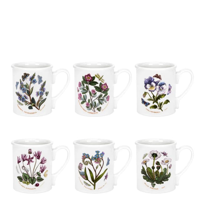 Portmeirion Set of 6 Botanic Garden Breakfast Mugs