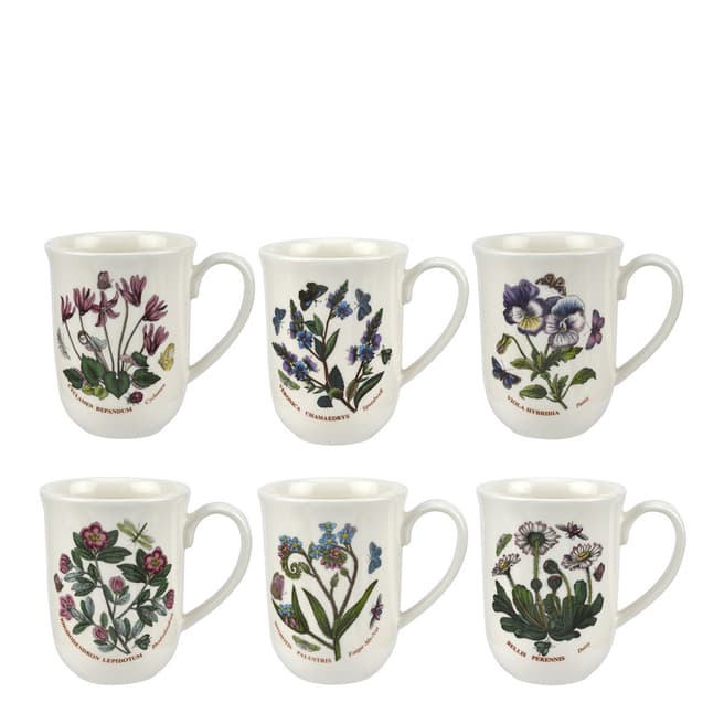 Portmeirion Set of 6 Botanic Garden Tulip Beakers