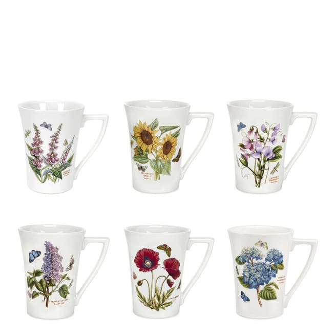 Portmeirion Set of 6 Botanic Garden Mugs