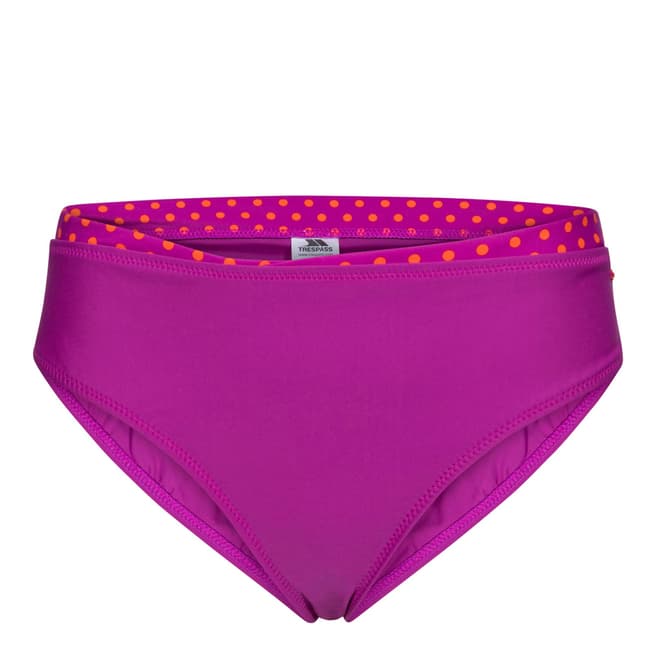 Trespass Purple Gabriel Bikini Bottoms