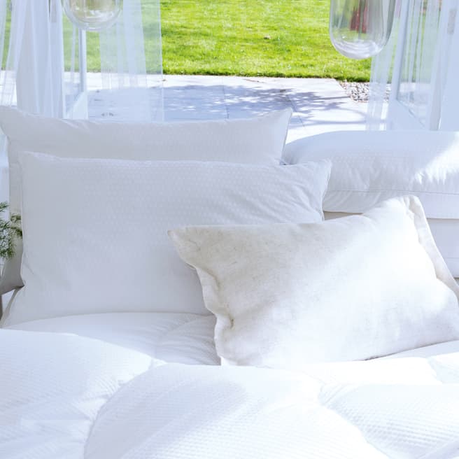 The Fine Bedding Company Essentials Fresh Cotton Pillow