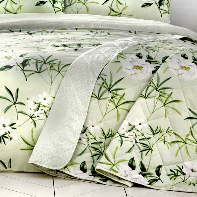 Dreams & Drapes Florence 229x195cm Bedspread, Green
