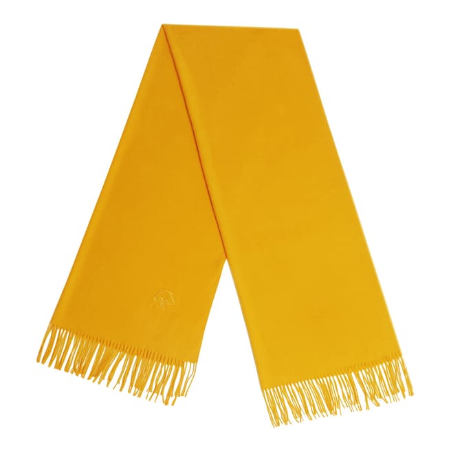 JayLey Collection Spring Yellow Cashmere Silk Blend Scarf