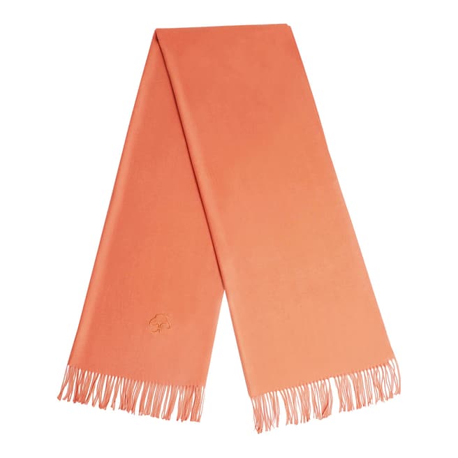 JayLey Collection Coral Cashmere Silk Blend Scarf