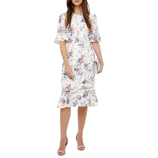 Phase Eight Paloma Floral Print Dress