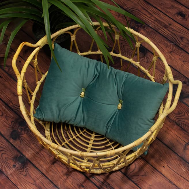 Riva Home Mineral Pineapple Cushion 30x50cm