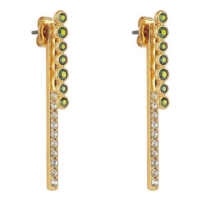 Adore by Swarovski® Gold Plated Iridescent Round Link Earrings
