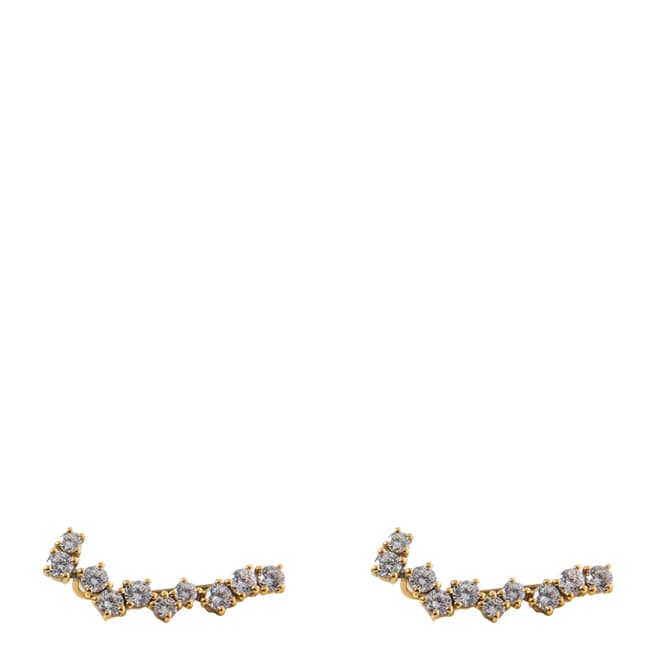 Opuline Silver Embellished Earrings
