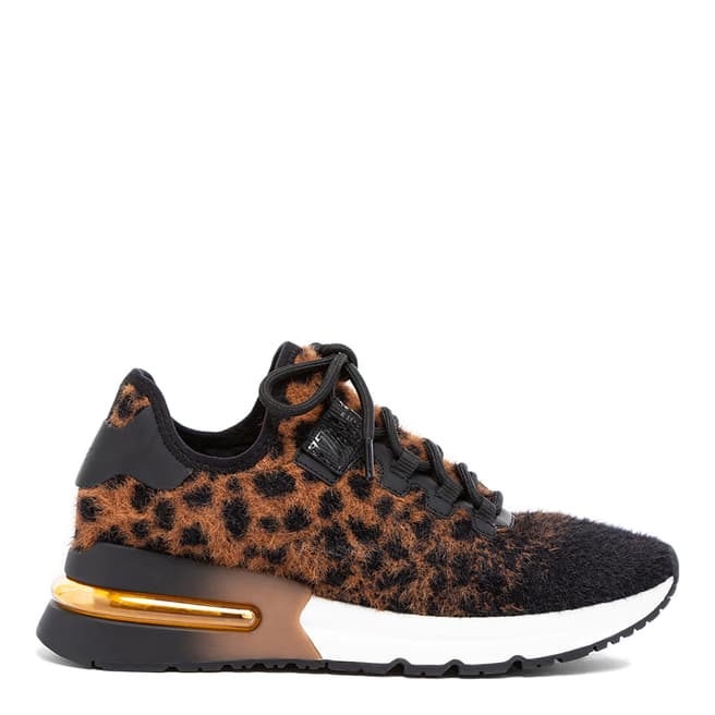 ASH Black Leopard Krush Sneakers