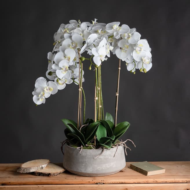 Hill Interiors Large White Orchid In Stone Pot