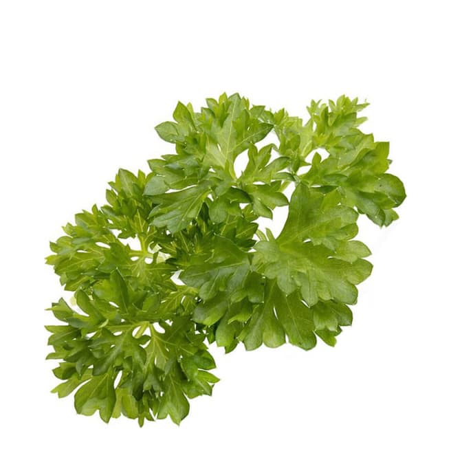 Click & Grow Set of 9 Parsley Plant Pods