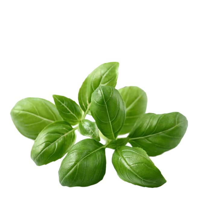 Click & Grow Set of 9 Basil Plant Pods
