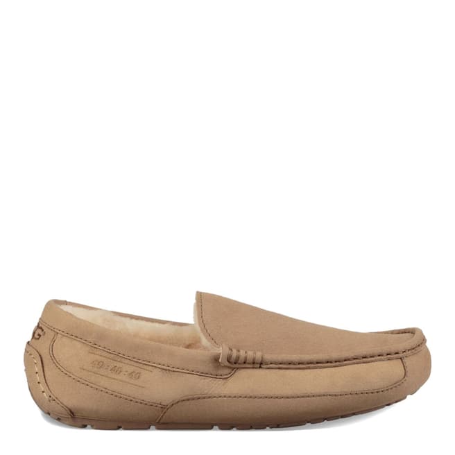 UGG Sand Ascot 40:40:40 Slippers