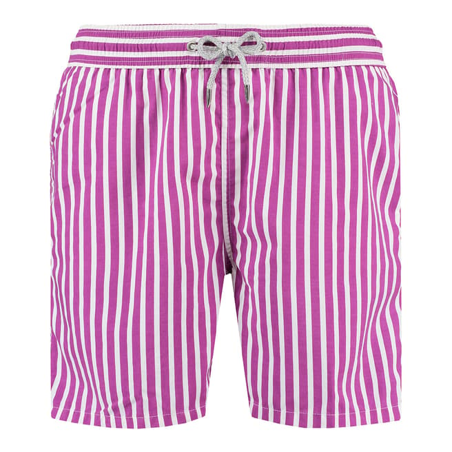 Love Brand & Co Purple and White Purple Candy Swim Short