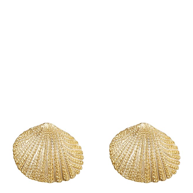 Iconic Collection Gold Shell Earrings