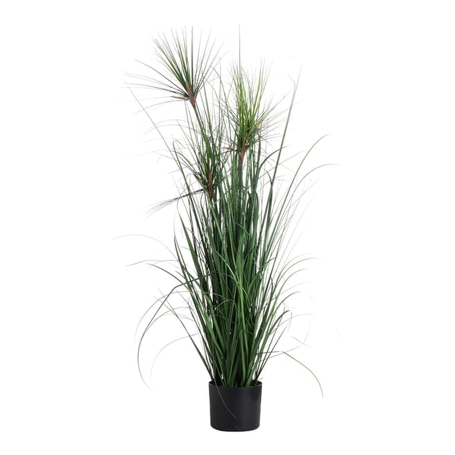 Hill Interiors Potted Green Water Bamboo