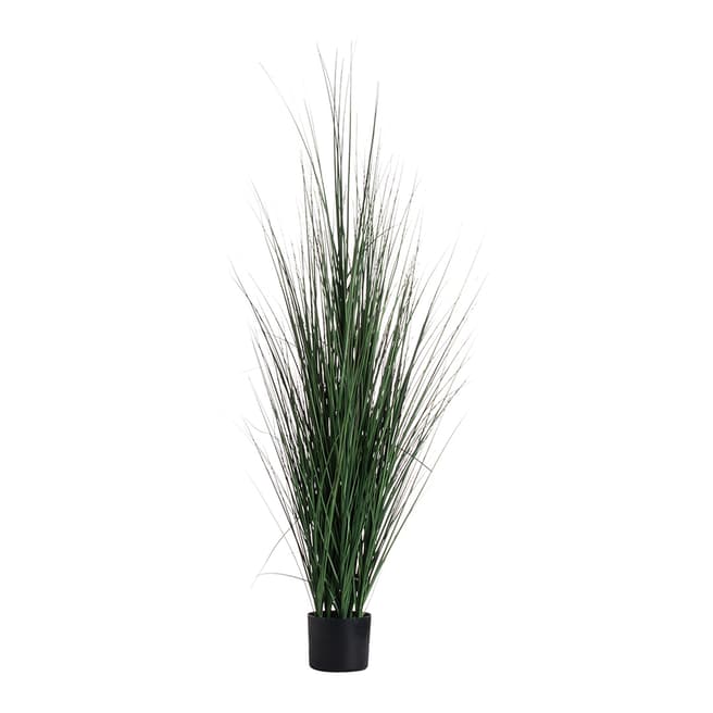 Hill Interiors Large Potted Tall Grass