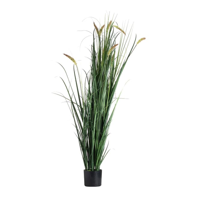 Hill Interiors Large Potted Meadow Grass