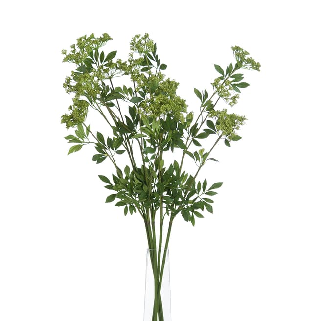 Hill Interiors Faux Cow Parsley Ammi
