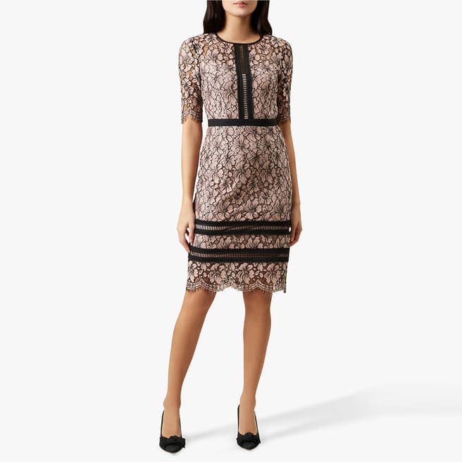 Hobbs London Pink Floral Lace Penny Dress