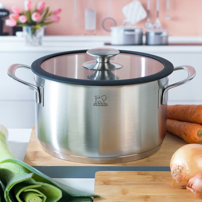 Peugeot Stainless Steel Deep Cooking Pot with Lid, 20cm
