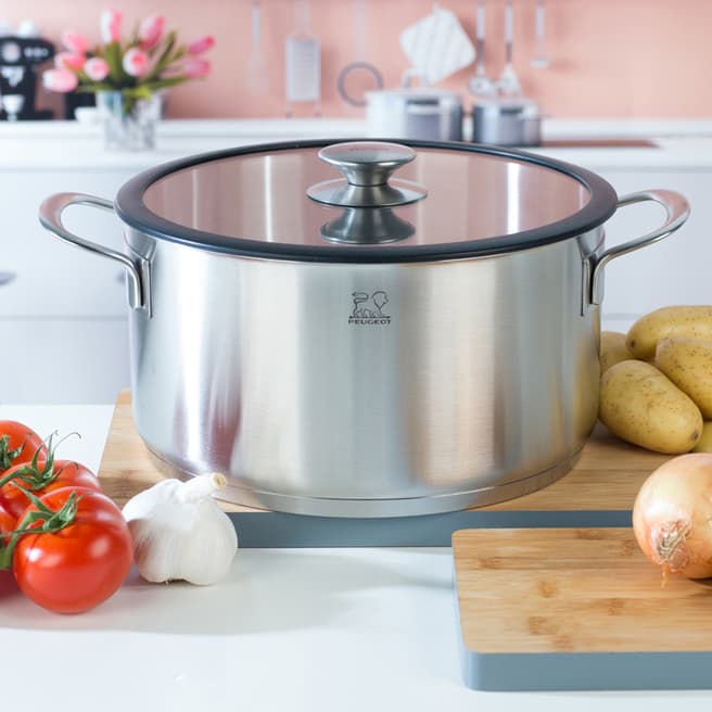 Peugeot Stainless Steel Cooking Pot with Lid, 24cm