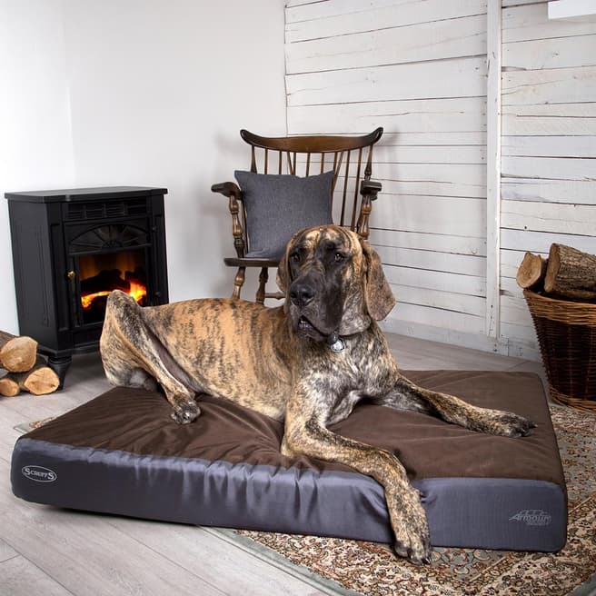 Scruffs Brown ArmourDillo Orthopedic Dog Bed 90x60x12cm