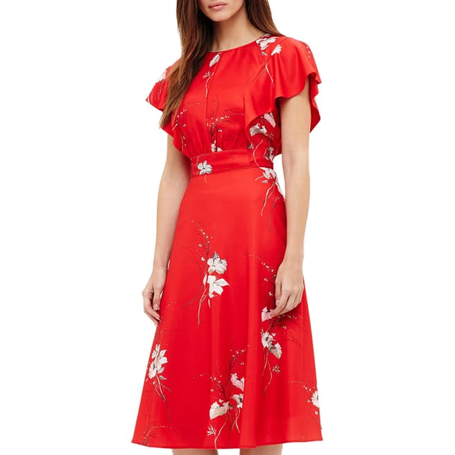 Phase Eight Red Floral Print Beatrix Dress
