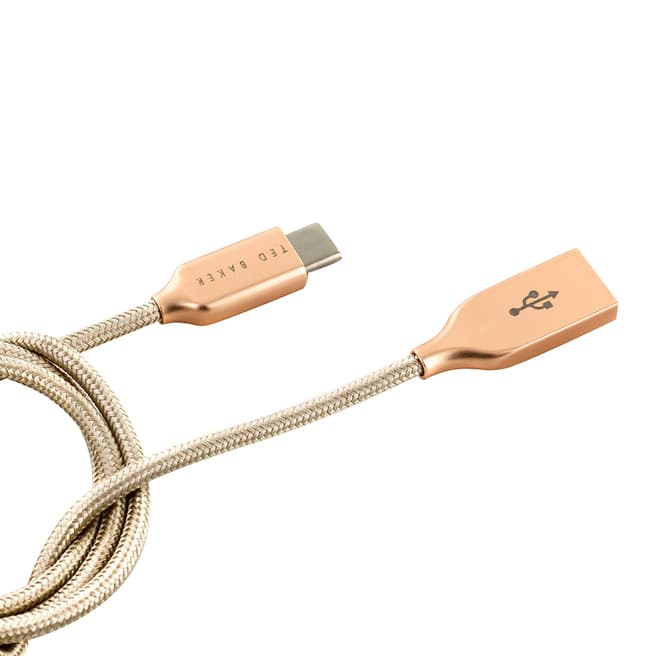 Ted Baker Taupe ConnecTED USB C Cable