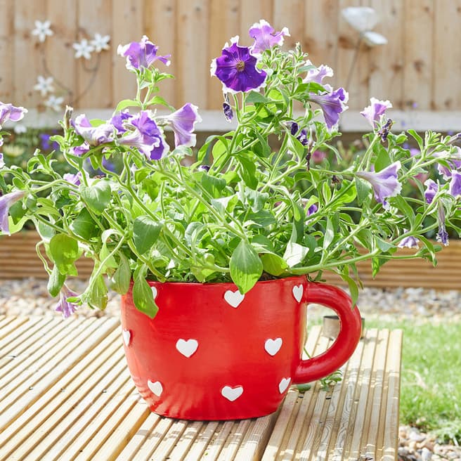 Smart Garden Teacup Heart Planter