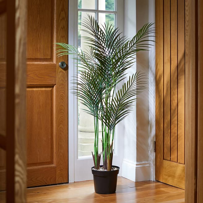 Smart Garden Pheonix Palm 124cm