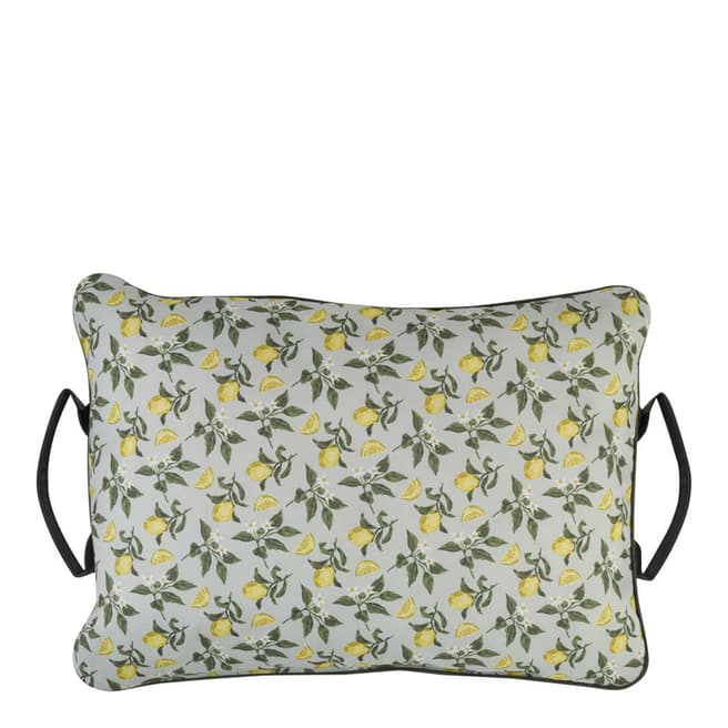 Smart Garden Sicilian Lemon Kneeler Pillow