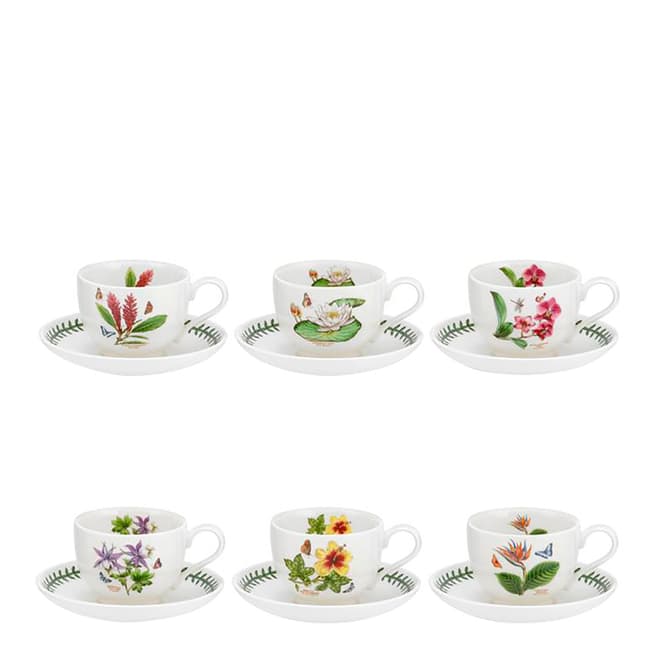 Portmeirion Set of 6 Exotic Botanic Garden Teacups & Saucers