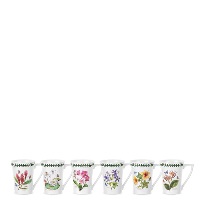 Portmeirion Set of 6 Exotic Botanic Garden Mugs